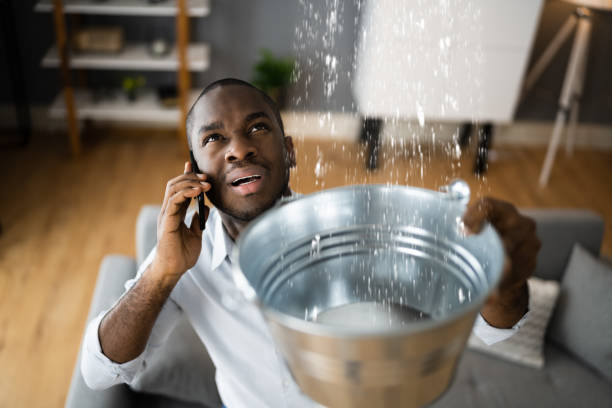 Best Emergency water damage restoration  in Payne, OH