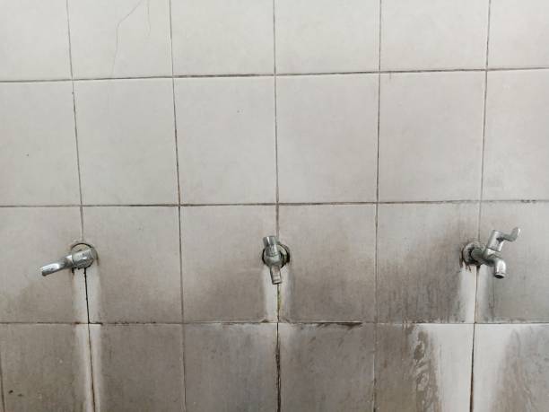 Best Water damage restoration specialists  in Payne, OH