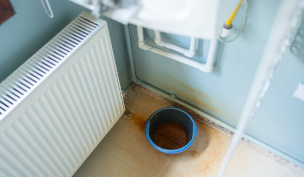 Best Water damage mitigation services  in Payne, OH
