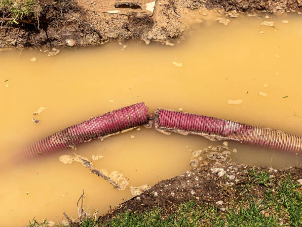 Best Emergency water extraction  in Payne, OH